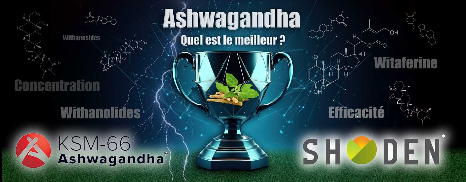 Quel est vraiment le meilleur extrait d’Ashwagandha ?